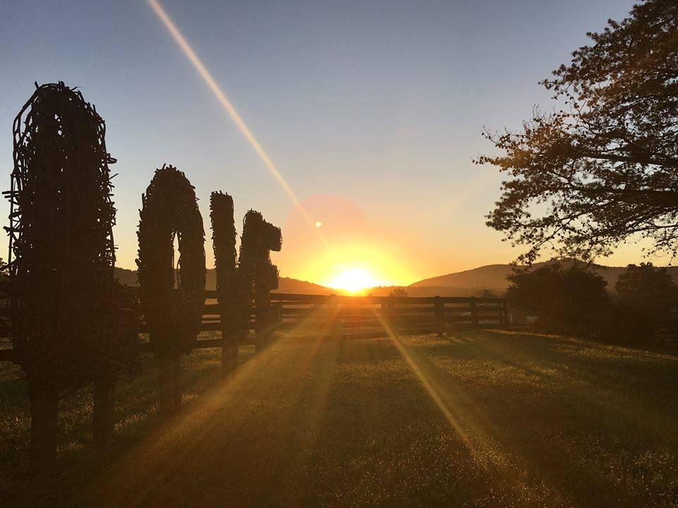 Montfair Resort Farm - 4