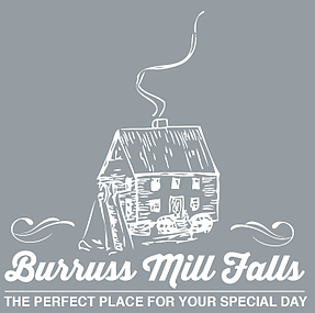 Burruss Mill Falls - 1
