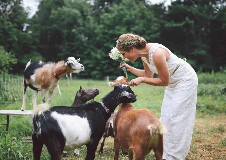 The Barn at Hardy Farm - 2