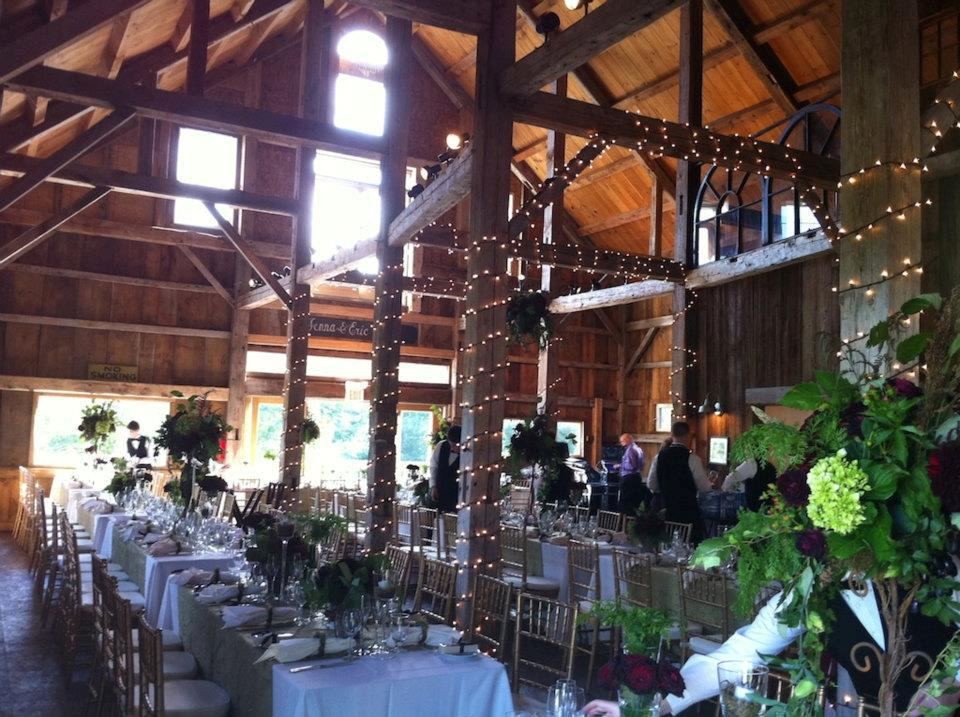 Willow Spring Vineyards - 3