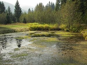 Black Rose Spiritual Retreat Center - 3