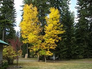 Black Rose Spiritual Retreat Center - 4