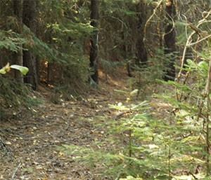 Black Rose Spiritual Retreat Center - 5