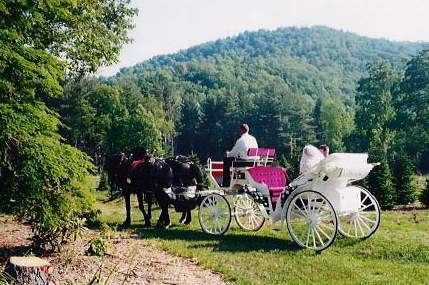 Fontaine Vineyards and Part Pavilion - 4