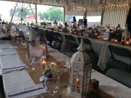 Whistler's Knoll Vineyard - 7