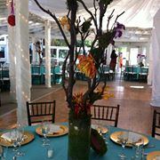 Rancho De Las Palmas - 7