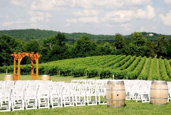 Noboleis Vineyards - 2