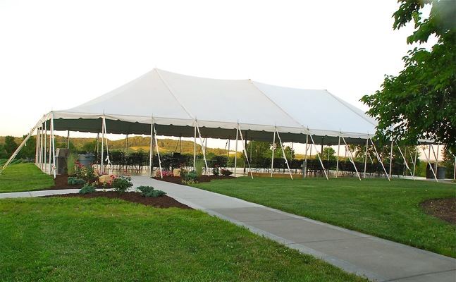 Noboleis Vineyards - 3