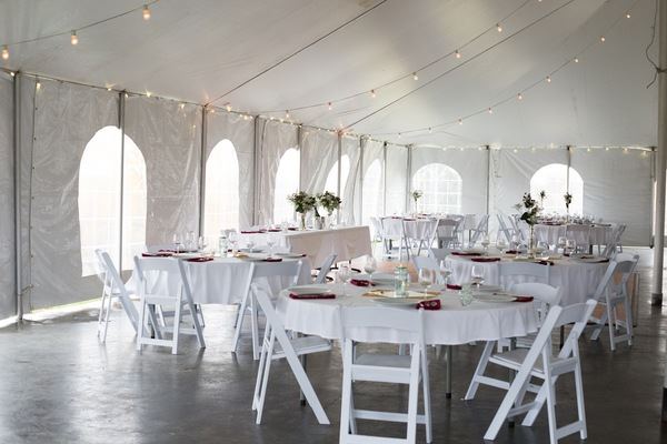 Noboleis Vineyards - 5