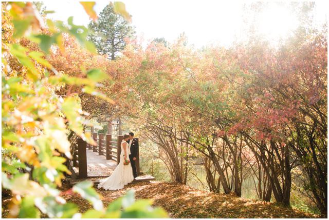 Cielo At Castle Pines - 5