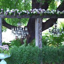 Willow Creek Events - 3