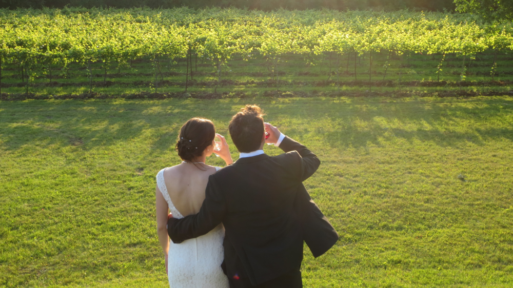 Shelburne Vineyard - 1