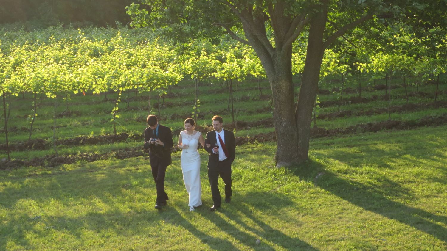 Shelburne Vineyard - 6