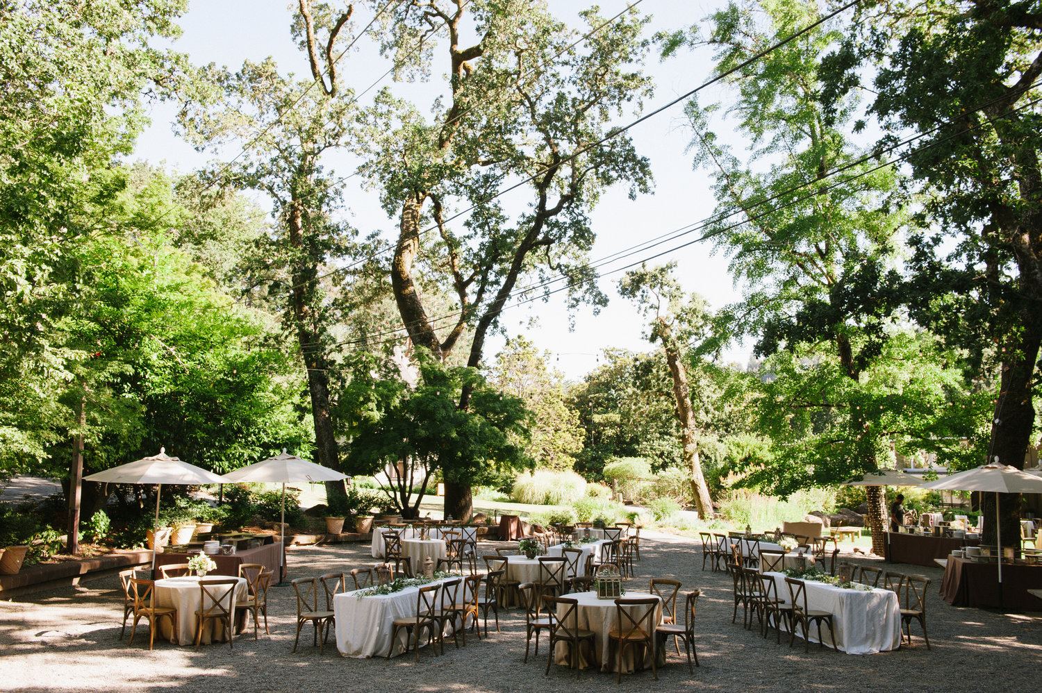 Marin Art And Garden Center Ross California Wedding Venue