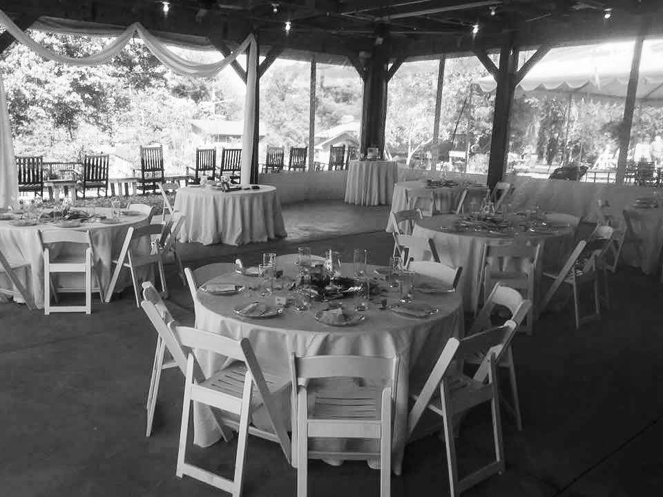 Treehouse Vineyards - 6