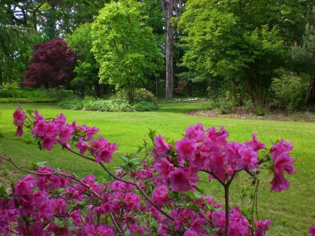 Westcroft Gardens - 3