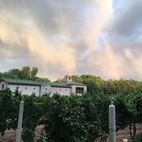 Casa Rondena Winery - 2