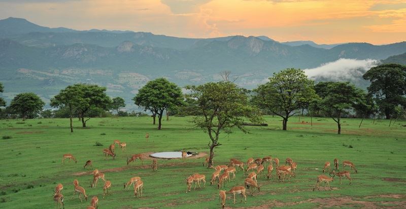 Leopard Rock Hotel - 2