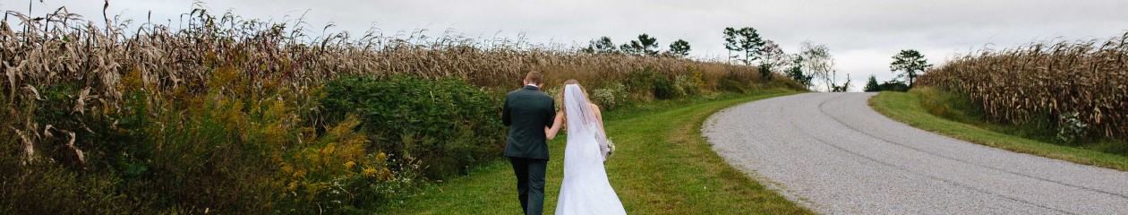 The Barn At Blueberry Hill - 3