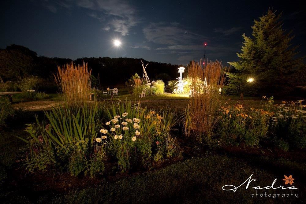 On The Marsh Bistro - 4