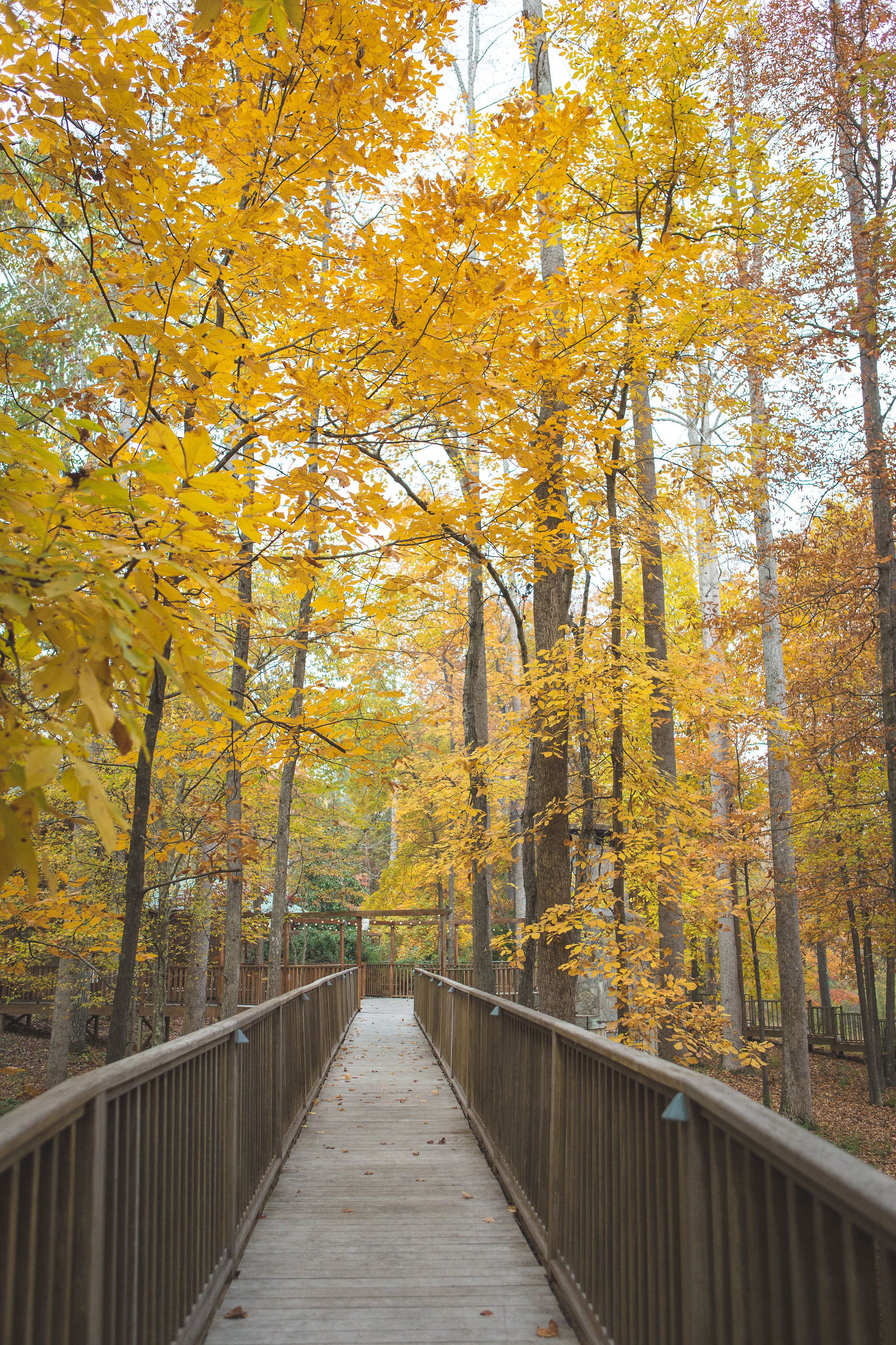 The Barn At Valhalla - 5