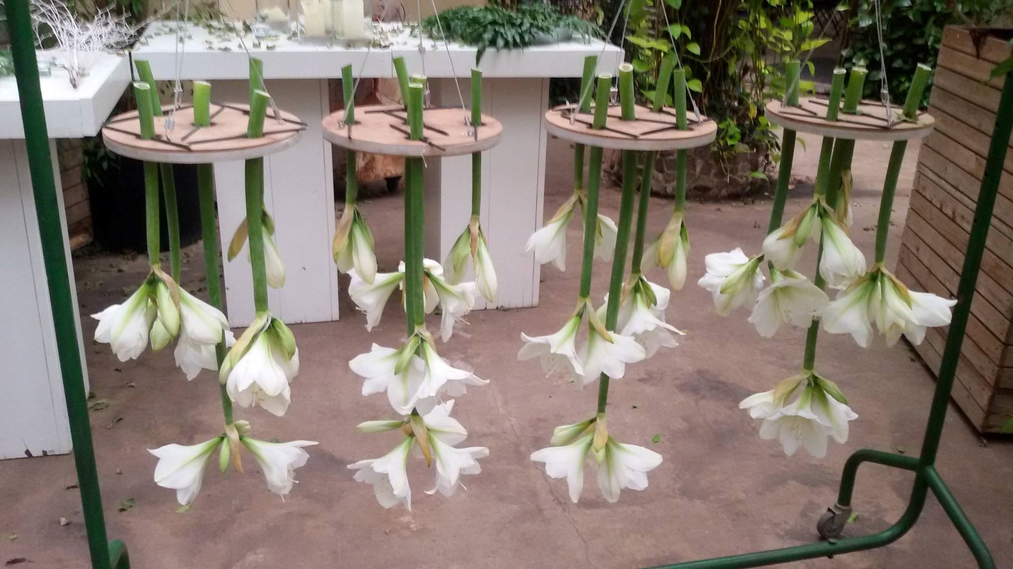 Arendshoeve, The Garden of Amsterdam - 6