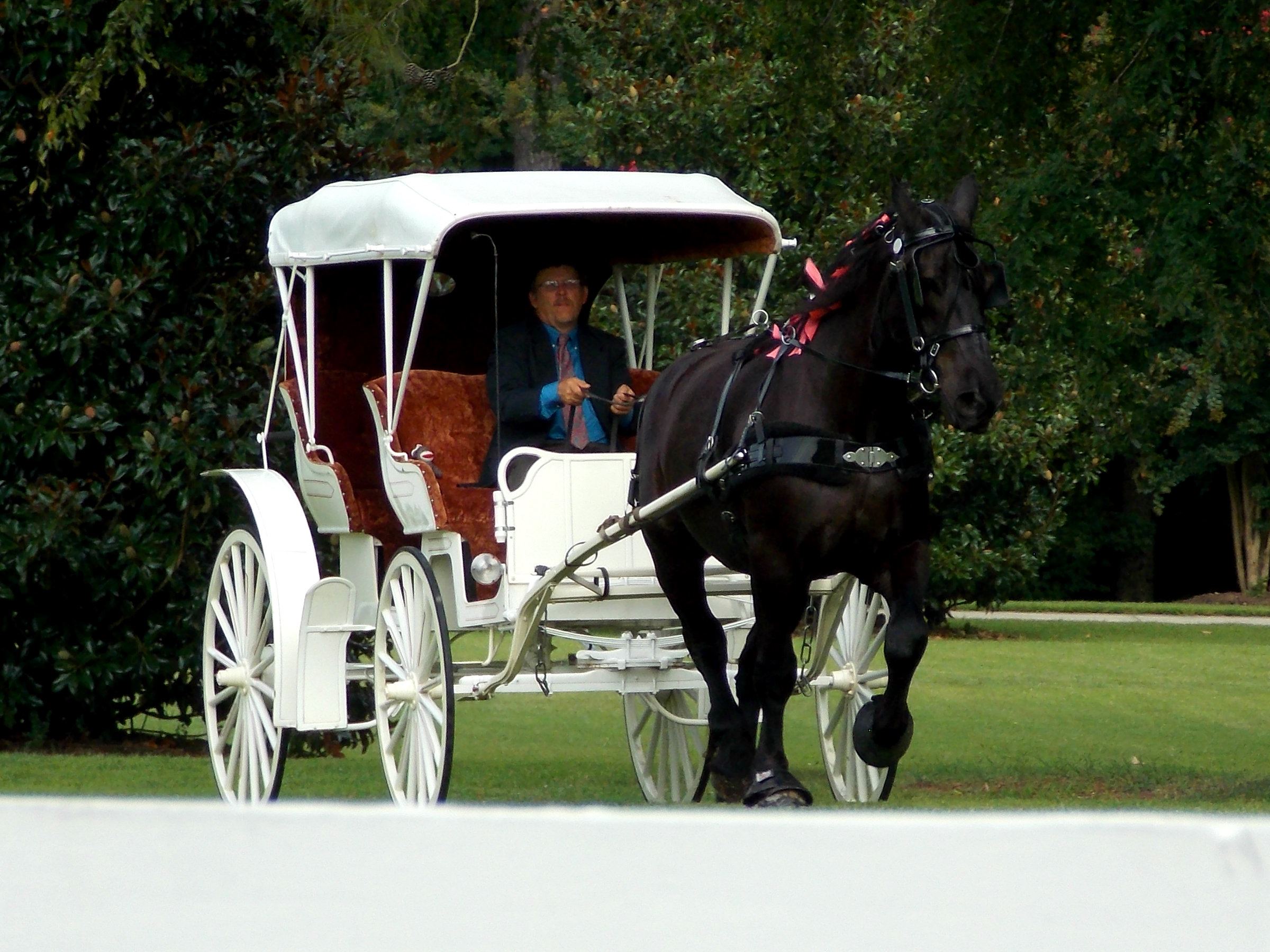 The Dean Plantation - 4