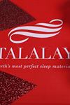 The Talalay Pillow - 5