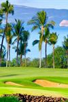 Wailea Golf Club - 7