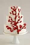 A White Cake by Lauren Bohl White - 4