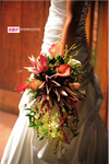 Bliss Wedding Florist - 3