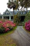 Magnolia Plantation and Gardens - 5