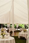 Special Occasion Rentals - 4