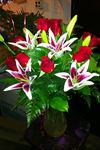 Charleston Blooms - Wedding Florists - 2