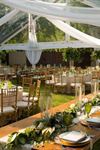 Marquee Event Rentals - 4