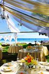 Paradise Event Rentals - 4