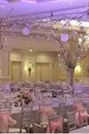 All Seasons Party Linen Rental - 6