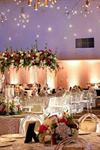 All Seasons Party Linen Rental - 4