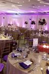 All Seasons Party Linen Rental - 3