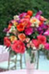 Abundance Acres Wedding Flowers - 2