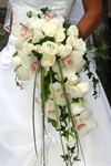Blooms and Bouquets - 6