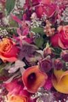 Botanica Wedding Flowers Studio - 2