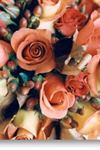 Sweet Petals Florist - 6