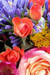 Twigs and Petals Floral Boutique - Wedding Florist - 4