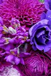 Twigs and Petals Floral Boutique - Wedding Florist - 3