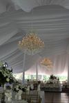 Majestic Tent & Event - 6