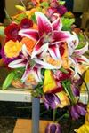 Glenda Pradella Wedding Flowers - 2