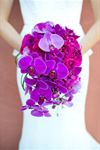 Glenda Pradella Wedding Flowers - 5