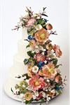 Birminghams The Privileged Bride Exclusive Wedding Cake Designs LLC. - 3