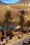 Scenic Tents, LLC - 5